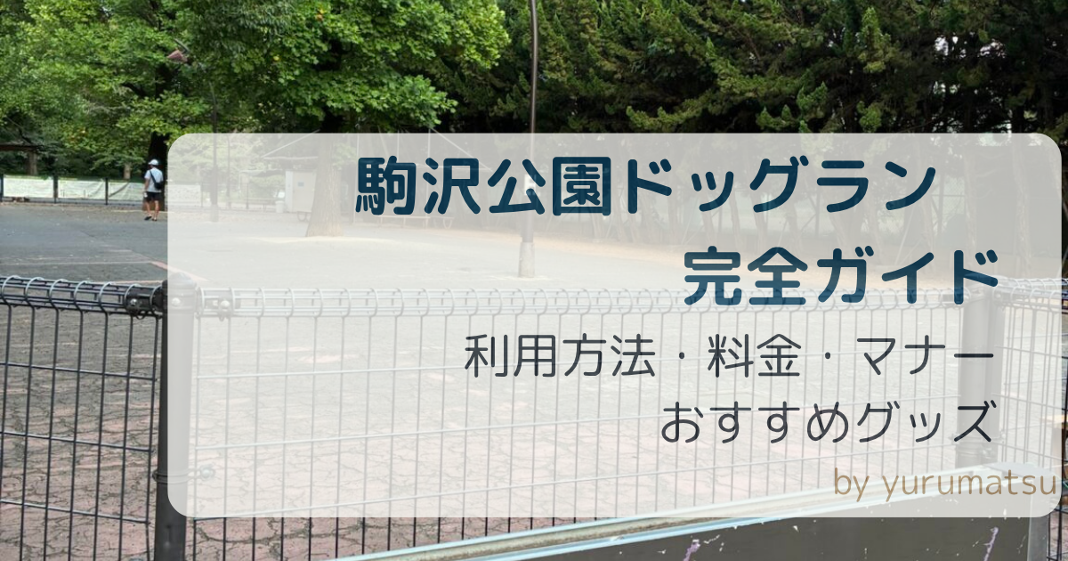 ドッグランアイキャッチ