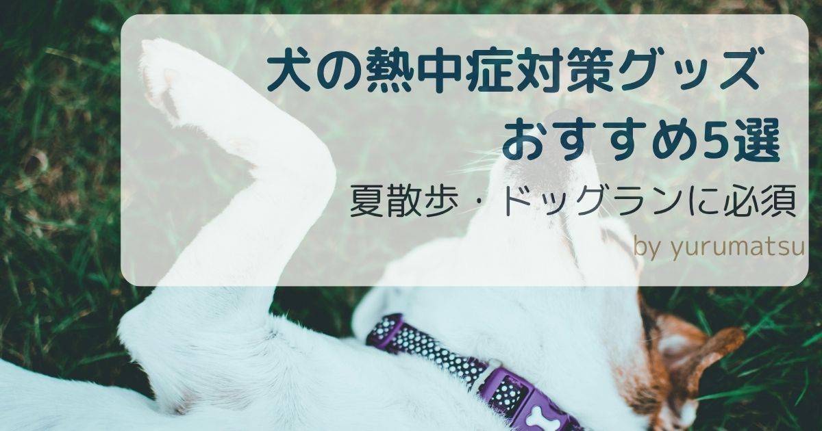 熱中症対策グッズアイキャッチ